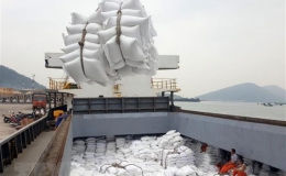 Bộ C&ocirc;ng Thương đề nghị cho ph&eacute;p tiếp tục xuất khẩu gạo nhưng phải kiểm so&aacute;t chặt số lượng