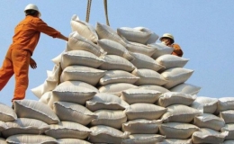 Đ&atilde; xuất khẩu hơn 141.500 tấn gạo trong hạn ngạch th&aacute;ng 4