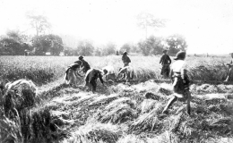 Ph&aacute;o đ&agrave;i Đồng Bằng