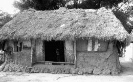 Ph&aacute;o đ&agrave;i đồng bằng