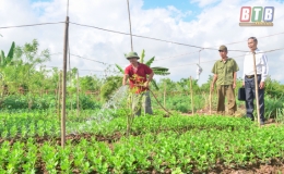 V&igrave; miền Nam ruột thịt