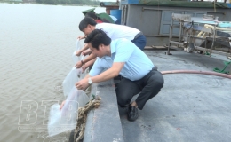 Chi cục Thủy sản: Thả hơn 2 vạn con giống ra m&ocirc;i trường tự nhi&ecirc;n