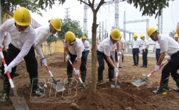C&ocirc;ng ty Điện lực Th&aacute;i B&igrave;nh: Hưởng ứng chương tr&igrave;nh cả nước trồng 1 tỷ c&acirc;y xanh