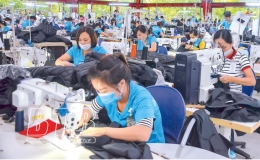 C&ocirc;ng ty TNHH Maxport Limited Việt Nam chi nh&aacute;nh Th&aacute;i B&igrave;nh: Đẩy mạnh phong tr&agrave;o xanh, sạch, đẹp, bảo đảm an to&agrave;n vệ sinh lao động