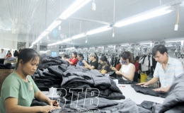 Hội đồng nh&acirc;n d&acirc;n huyện Th&aacute;i Thụy: Thể hiện &yacute; ch&iacute;, nguyện vọng của nh&acirc;n d&acirc;n