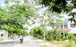 Huyện Cần Giờ (TP Hồ Ch&iacute; Minh) đạt chuẩn n&ocirc;ng th&ocirc;n mới