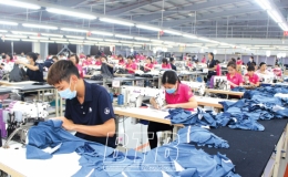 Khẳng định vị thế, thương hiệu Agribank