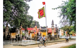 Quật thổ, bồi cơ 