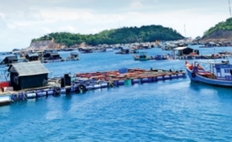 Quy định việc giao c&aacute;c khu vực biển nhất định cho tổ chức, c&aacute; nh&acirc;n khai th&aacute;c, sử dụng t&agrave;i nguy&ecirc;n biển