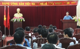  Quỳnh Phụ: Triển khai đợt ph&ograve;ng trừ s&acirc;u bệnh bảo vệ l&uacute;a vụ xu&acirc;n