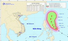 Tin về si&ecirc;u b&atilde;o Surigae