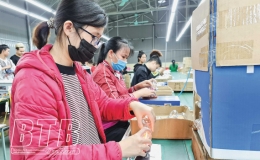 Tr&agrave; Giang: Tập trung ph&aacute;t triển c&ocirc;ng nghiệp v&agrave; thương mại