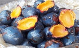 Về Ph&uacute; Thọ thưởng thức m&oacute;n ăn từ cọ