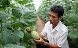 Việt Nam đứng thứ hai khu vực về triển vọng phục hồi n&ocirc;ng nghiệp thực phẩm