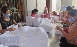 Cần những giải ph&aacute;p bền vững bảo vệ m&ocirc;i trường l&agrave;ng nghề