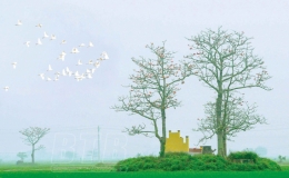 Đa Cương truyền tụng 