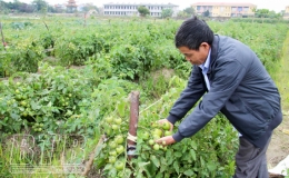 Hội N&ocirc;ng d&acirc;n huyện Đ&ocirc;ng Hưng: Chỗ dựa tin cậy của hội vi&ecirc;n