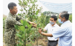 L&agrave;m gi&agrave;u từ thửa ruộng hẹp