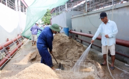 Th&aacute;i Thụy: Vẫn c&ograve;n nỗi lo thiếu nước sạch m&ugrave;a h&egrave;