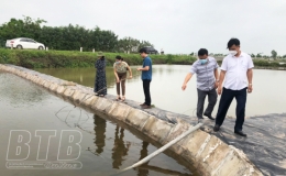 Th&aacute;i Thụy: Xuất hiện bệnh đốm trắng tr&ecirc;n t&ocirc;m nu&ocirc;i