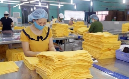 WB: Việt Nam c&oacute; thể l&agrave; quốc gia hưởng lợi nhiều nhất từ RCEP