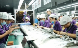 Bắt đầu điều tra doanh nghiệp năm 2023