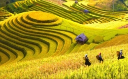 Cảnh gi&aacute;c với c&aacute;c chi&ecirc;u thức lừa đảo trong m&ugrave;a du lịch