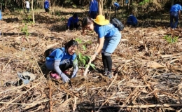 Diện t&iacute;ch trồng rừng tăng 9,4% so với c&ugrave;ng kỳ năm trước