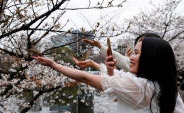 Du lịch Nhật Bản kỳ vọng phục hồi ho&agrave;n to&agrave;n hậu Covid-19