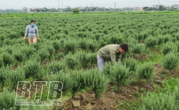 Hợp t&aacute;c x&atilde; Ho&agrave;ng Minh: Điển h&igrave;nh về khởi nghiệp đổi mới, s&aacute;ng tạo