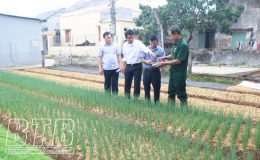 Hưng H&agrave;: Đa dạng k&ecirc;nh cho vay vốn gi&uacute;p cựu chiến binh ph&aacute;t triển kinh tế