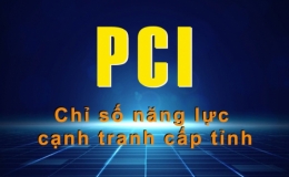Lần đầu ti&ecirc;n giới thiệu v&agrave; c&ocirc;ng bố Chỉ số Xanh (PGI) cấp tỉnh