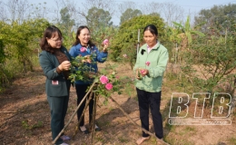 Năng động, s&aacute;ng tạo ph&aacute;t triển kinh tế