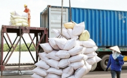 Philippines l&agrave; kh&aacute;ch h&agrave;ng lớn nhất của gạo Việt