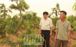 Ph&uacute; Lương: Nỗ lực về đ&iacute;ch n&ocirc;ng th&ocirc;n mới n&acirc;ng cao