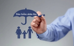 Tăng cường kiểm so&aacute;t hoạt động của doanh nghiệp bảo hiểm nh&acirc;n thọ