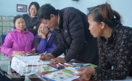 Tổ chức 12 lớp tập huấn về kỹ thuật ủ ph&acirc;n hữu cơ từ phụ phẩm c&acirc;y trồng