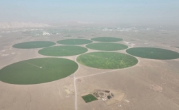 Trang trại h&igrave;nh tr&ograve;n khổng lồ tr&ecirc;n sa mạc UAE