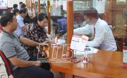 Agribank Tiền Hải: Ưu ti&ecirc;n vốn cho vay ph&aacute;t triển n&ocirc;ng nghiệp, n&ocirc;ng th&ocirc;n