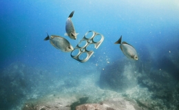 Cảnh b&aacute;o về r&aacute;c thải nhựa dưới đ&aacute;y biển