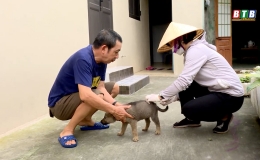 Chủ động ph&ograve;ng chống bệnh dại, bảo vệ sức khỏe cộng đồng