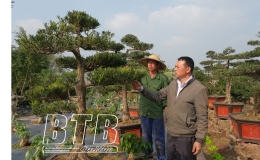 Hội N&ocirc;ng d&acirc;n huyện Vũ Thư: Hỗ trợ hội vi&ecirc;n ph&aacute;t triển sản xuất