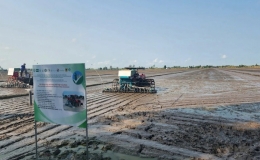 Khởi động Đề &aacute;n 1 triệu h&eacute;c-ta l&uacute;a chất lượng cao, ph&aacute;t thải thấp