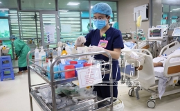 Kỳ 2: Nguy&ecirc;n nh&acirc;n từ đ&acirc;u?