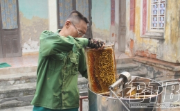 L&agrave;m gi&agrave;u từ nu&ocirc;i ong lấy mật