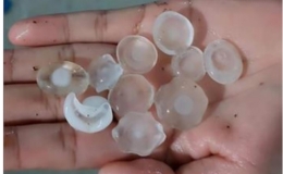 Nhiều địa phương thiệt hại do mưa đ&aacute;