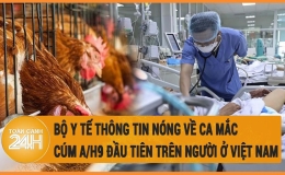 Th&ocirc;ng tin về ca mắc c&uacute;m A(H9) đầu ti&ecirc;n tại Việt Nam