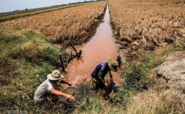 Thủ tướng chỉ thị tăng cường ph&ograve;ng, chống nắng n&oacute;ng, hạn h&aacute;n, thiếu nước, x&acirc;m nhập mặn