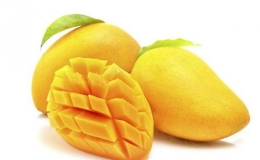 C&aacute;ch chế biến xo&agrave;i th&agrave;nh những m&oacute;n ăn ngon tốt cho sức khỏe 