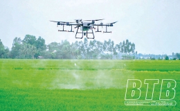 Chủ động bảo vệ l&uacute;a xu&acirc;n